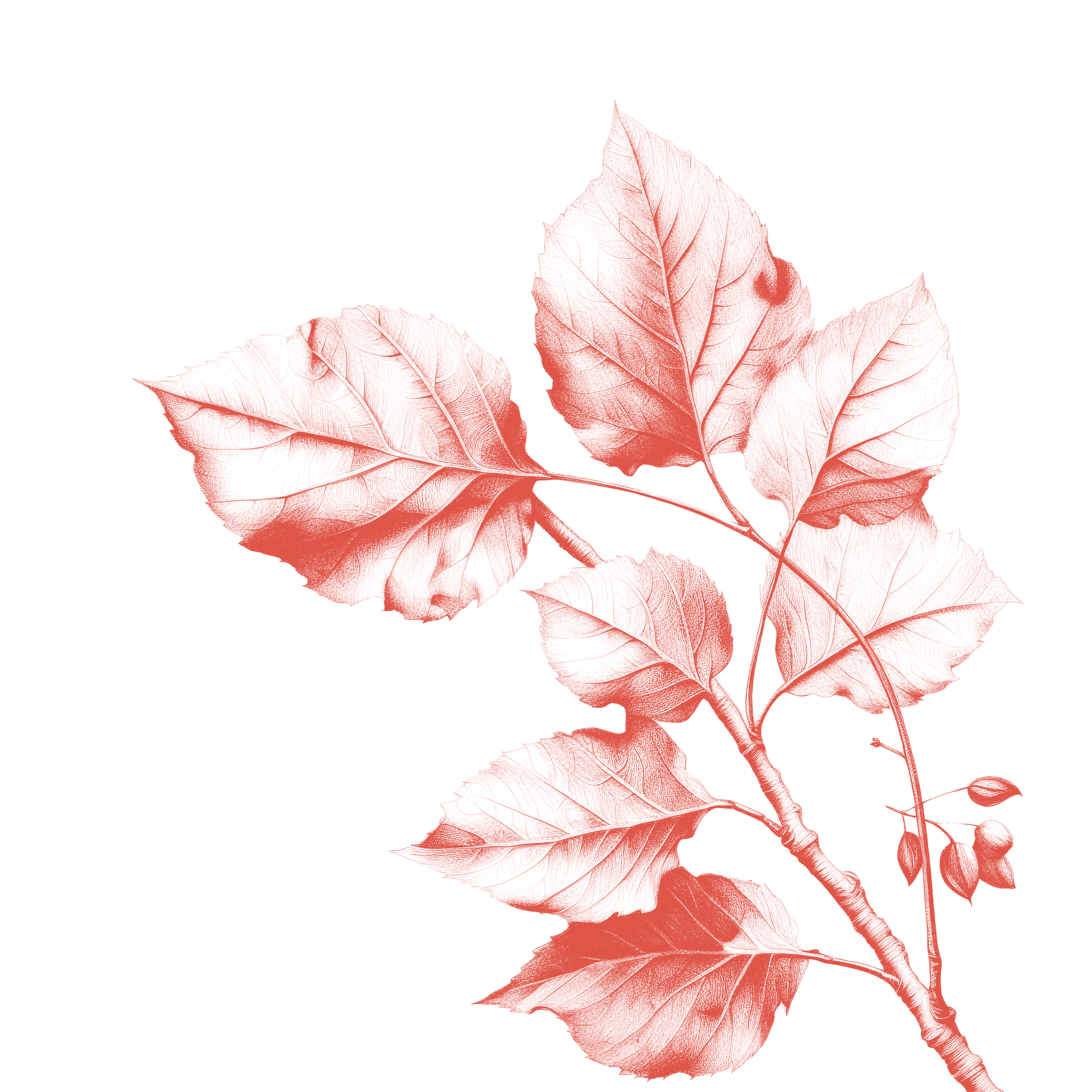 section flower